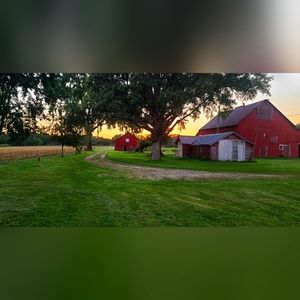 Vintage and Antiques